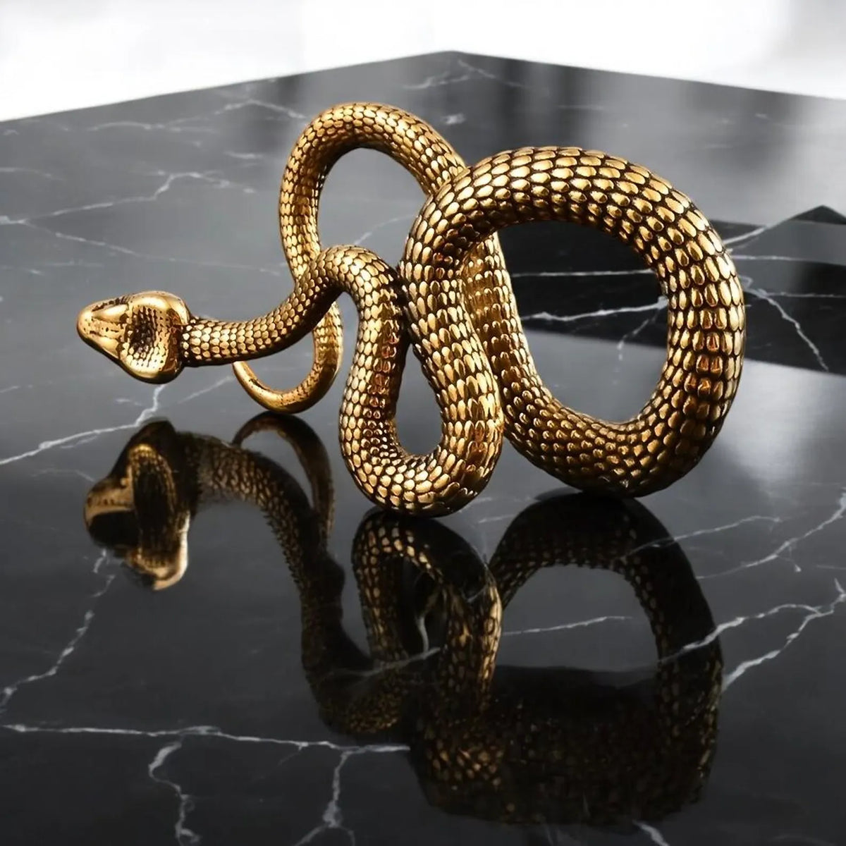 Set de Pesos Colgantes SERPENTA