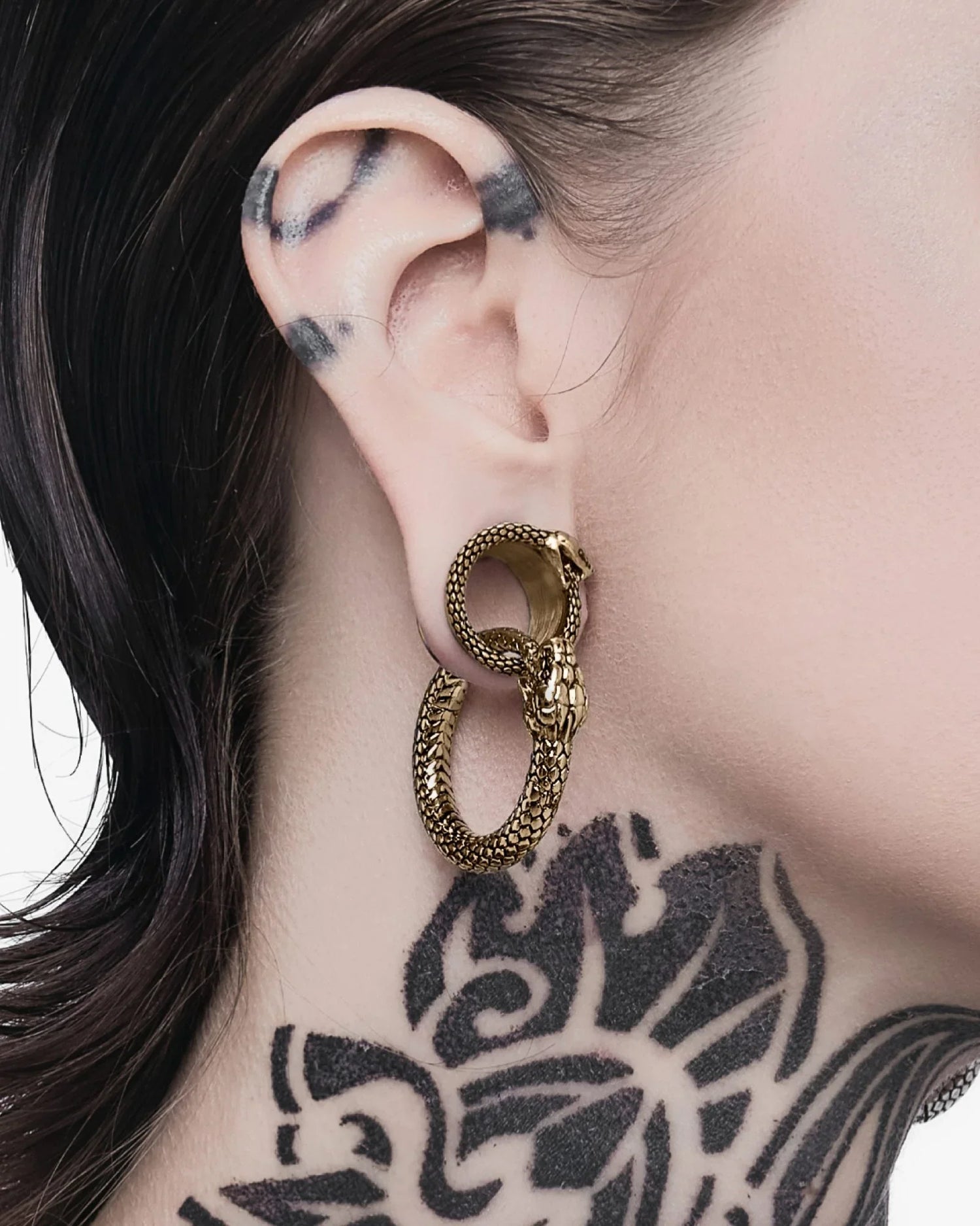 PLUGS & TUNELES