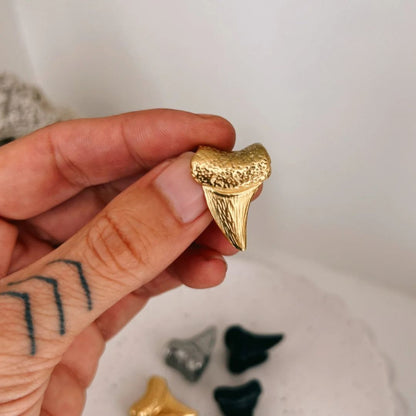 Set de Pesos Colgantes SHARK TOOTH