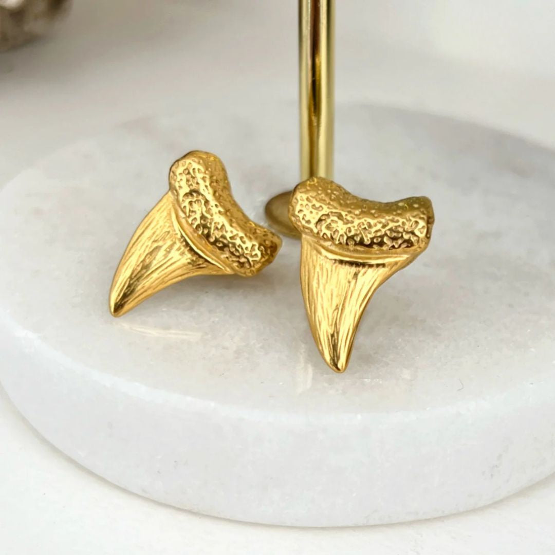 Set de Pesos Colgantes SHARK TOOTH