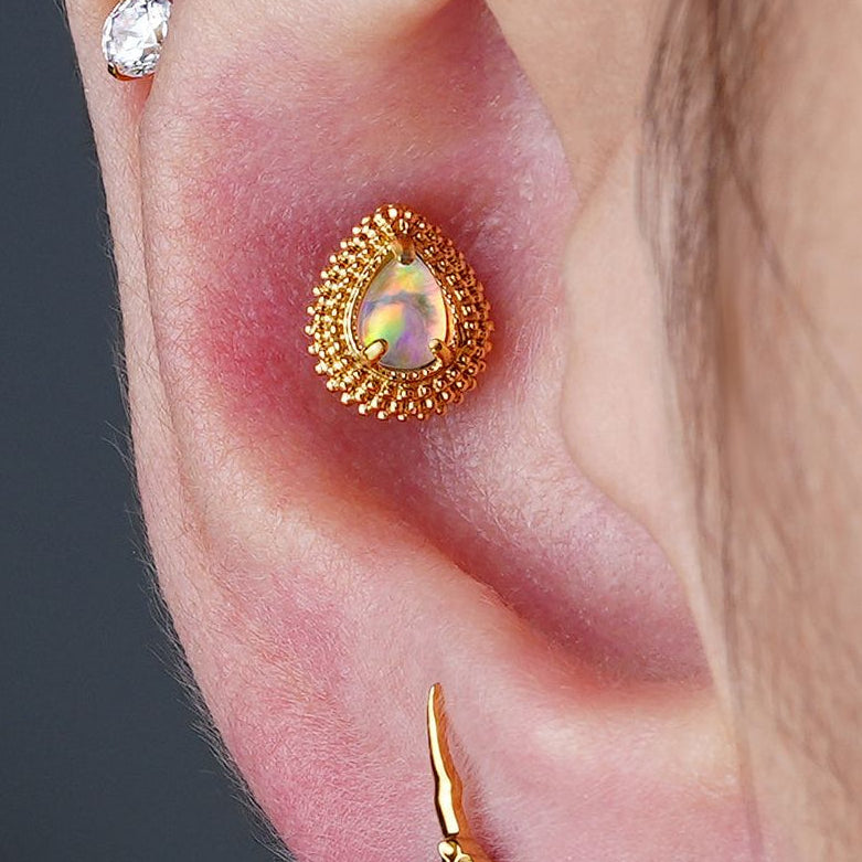 Piercing AURIC HALO
