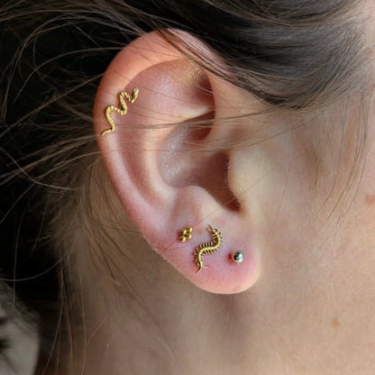 Piercing SPINE CRAWLER