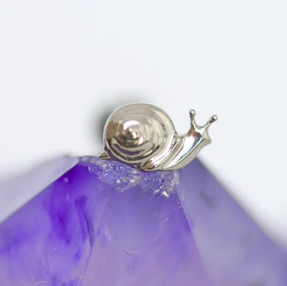 Piercing MOONSNAIL