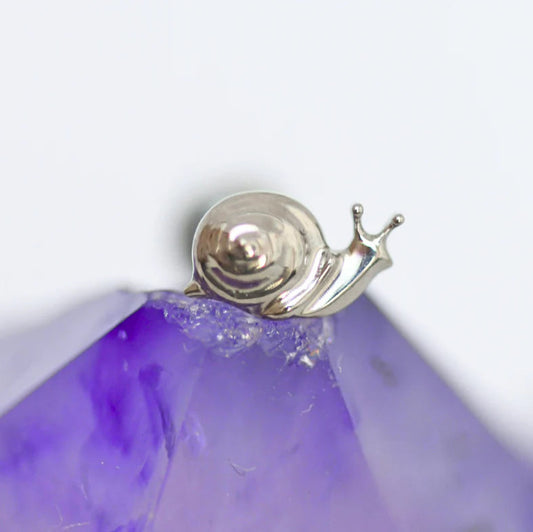Piercing MOONSNAIL