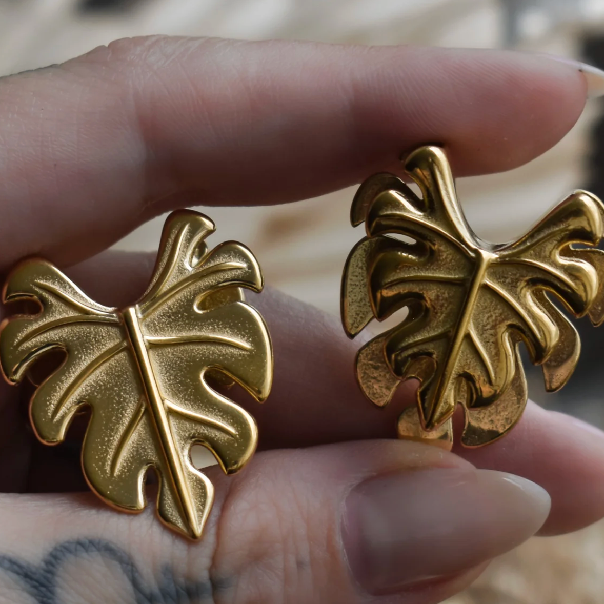 Set Saddle Lobe NATURE