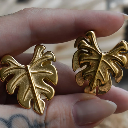 Set Saddle Lobe NATURE