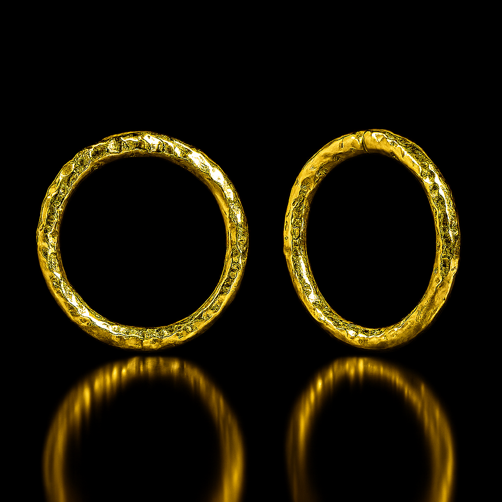 Set de Pesos Colgantes IRON FANG