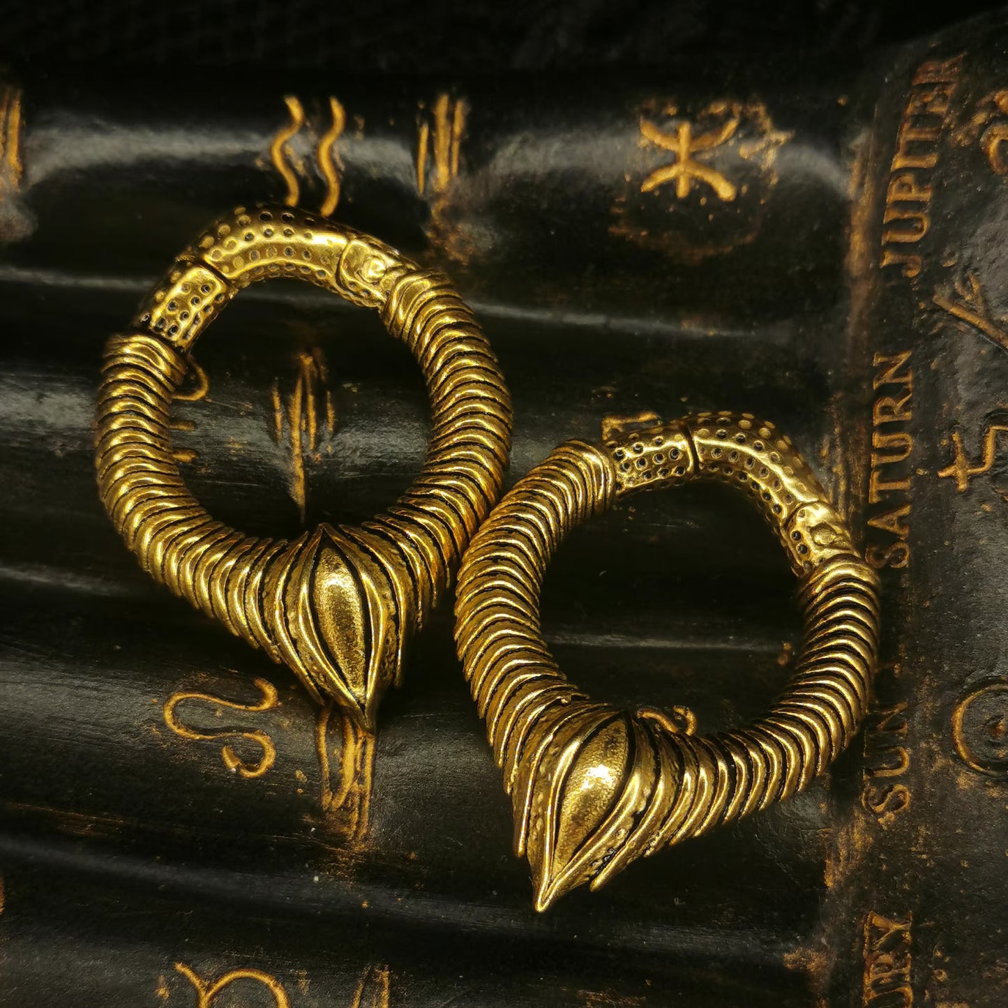 Set de Pesos Colgantes REPTILE