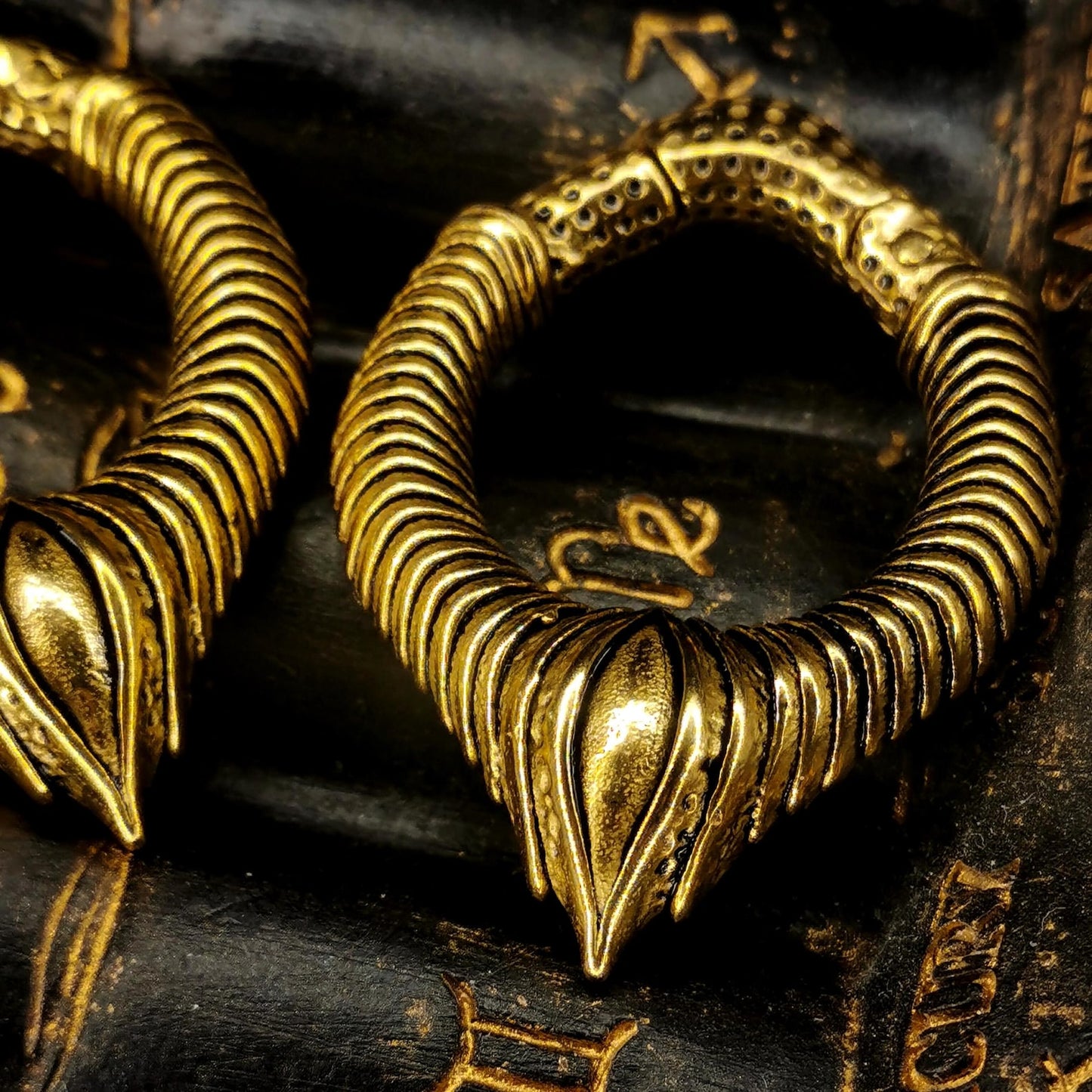 Set de Pesos Colgantes REPTILE