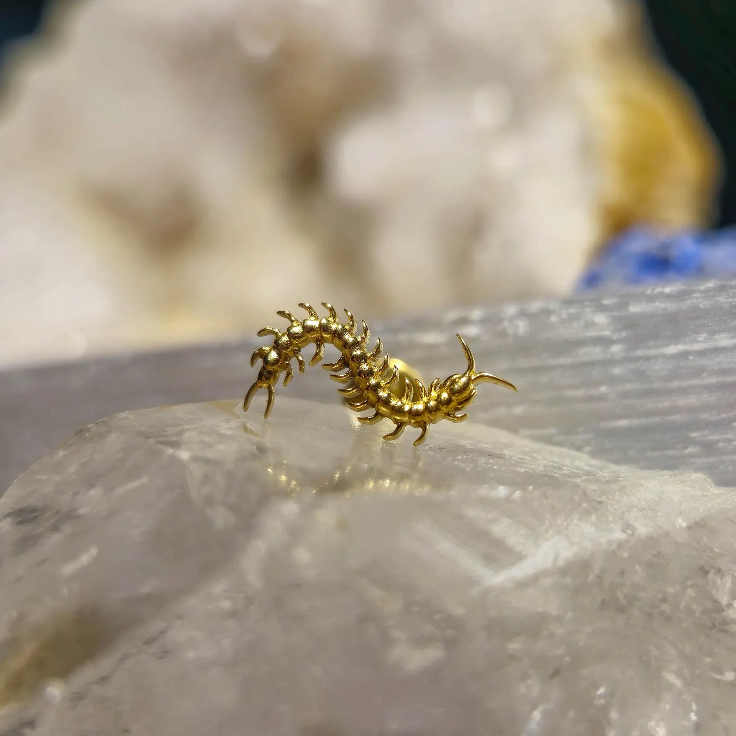 Piercing SPINE CRAWLER