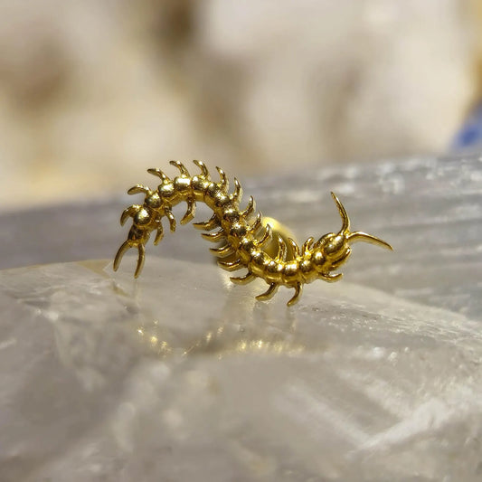 Piercing SPINE CRAWLER