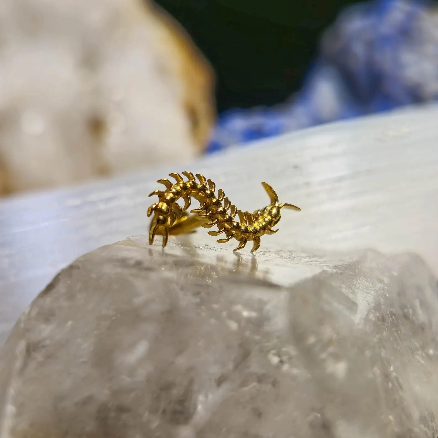 Piercing SPINE CRAWLER