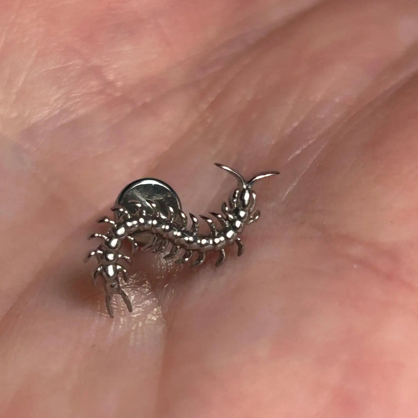 Piercing SPINE CRAWLER