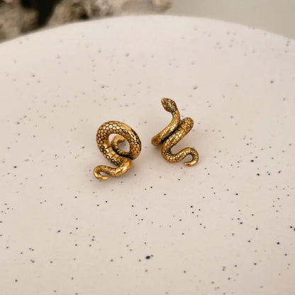 Set de Abraza Lóbulos SNAKE