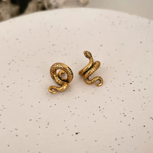 Set de Abraza Lóbulos SNAKE