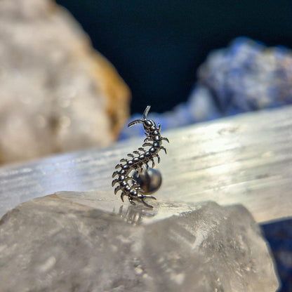 Piercing SPINE CRAWLER