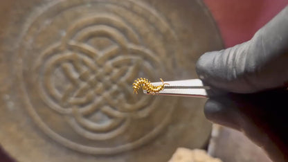 Piercing SPINE CRAWLER